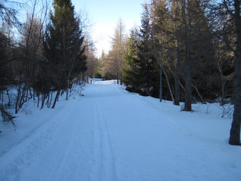 IMG_6257.JPG