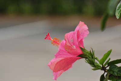 DSC_4297.jpg