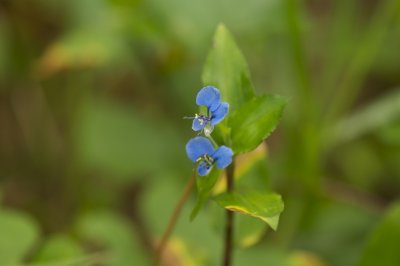 DSC_4319.jpg