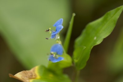 DSC_4320.jpg