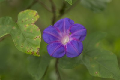 DSC_4325.jpg