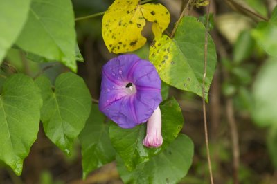 DSC_4335.jpg