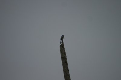 g2/97/845297/3/148368136.ZcJb3Y9E.jpg