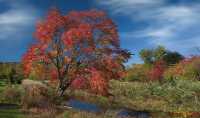 Hurd Park - Dover New Jersey