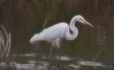 Ghost of the Egret