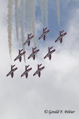   Snowbirds  4