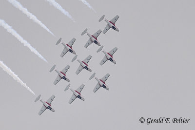   Snowbirds  5