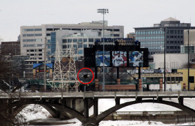 Eagle along the Des Moines River