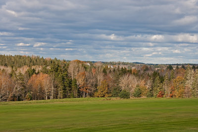 layered shades of autumn