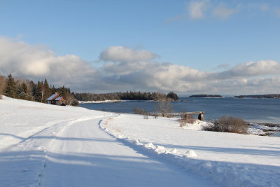 Maine coast in January