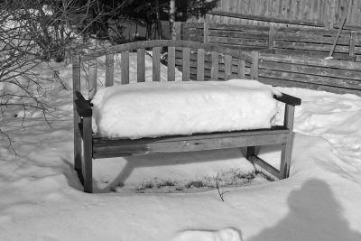 garden bench