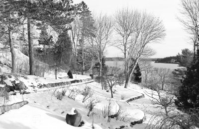winter garden
