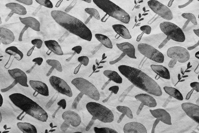 dishtowel