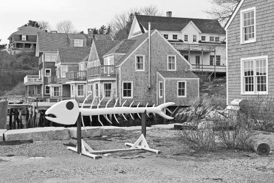 fish rack