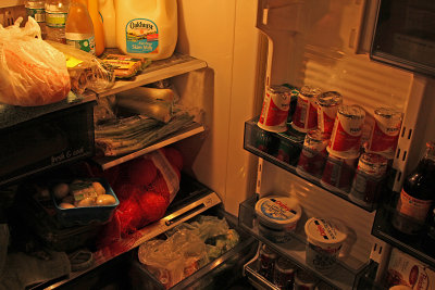 provision fridge