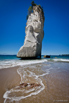 Cathedral Cove Pillar
