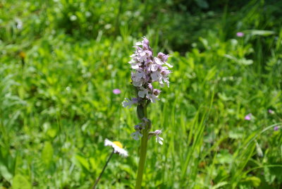DSC_2273.JPG