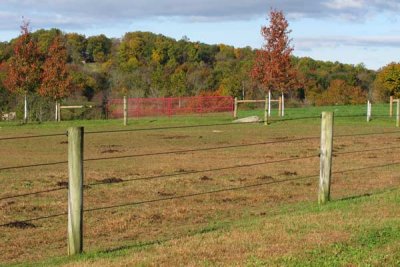 Red Gate