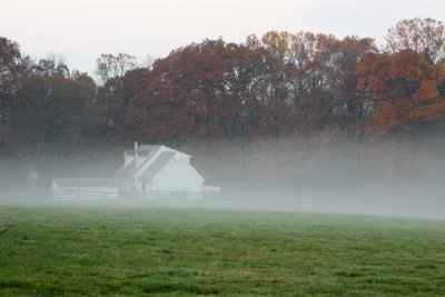A Cape Cod in the Mist