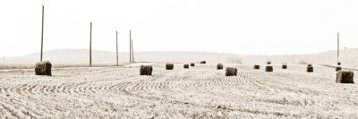 Bales and Poles