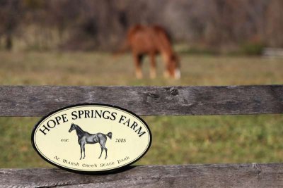 Hope Springs Farm at Marsh Creek