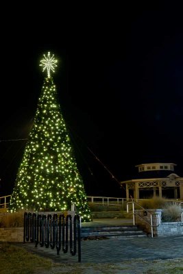 Sea Isle City Christmas Tree