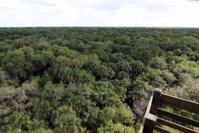 View From the Top of the Observation Deck