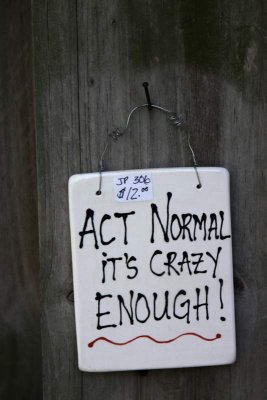 Normal Crazy