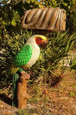 Parrot Mailbox
