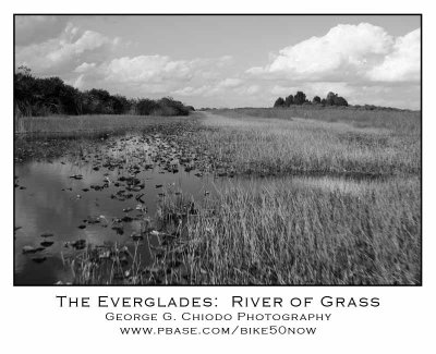The Everglades - River of Grass
