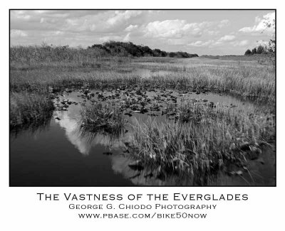 The Vastness of the Everglades