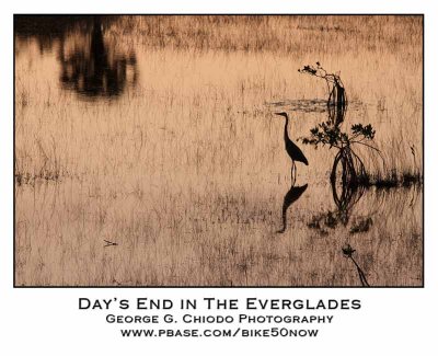 Days End in The Everglades