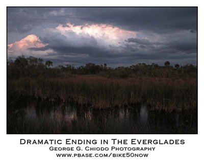 Dramatic Ending in The Everglades