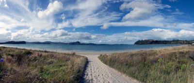 IMG_1699-1726 NZ Cook's Beach Panorama 72 dpi 20%.jpg