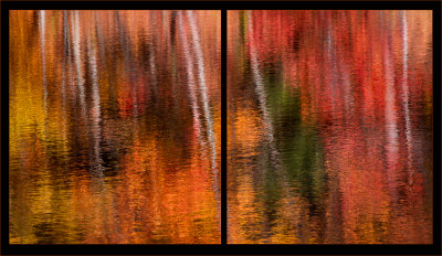 9972-duotych reflections