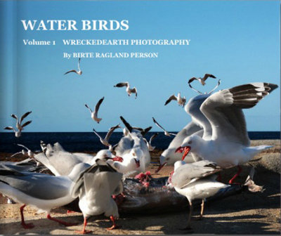 97WATER BIRDS VOL 1.jpg