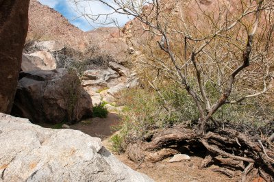 Anza Borrego Desert State Park
