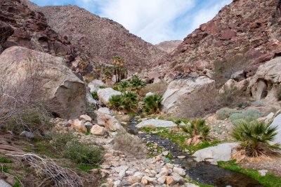 Anza Borrego Desert State Park