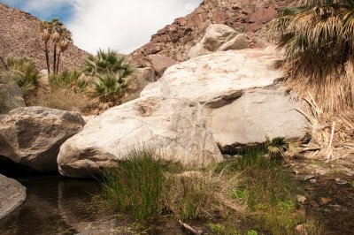 Anza Borrego Desert State Park