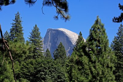 Yosemite National Park