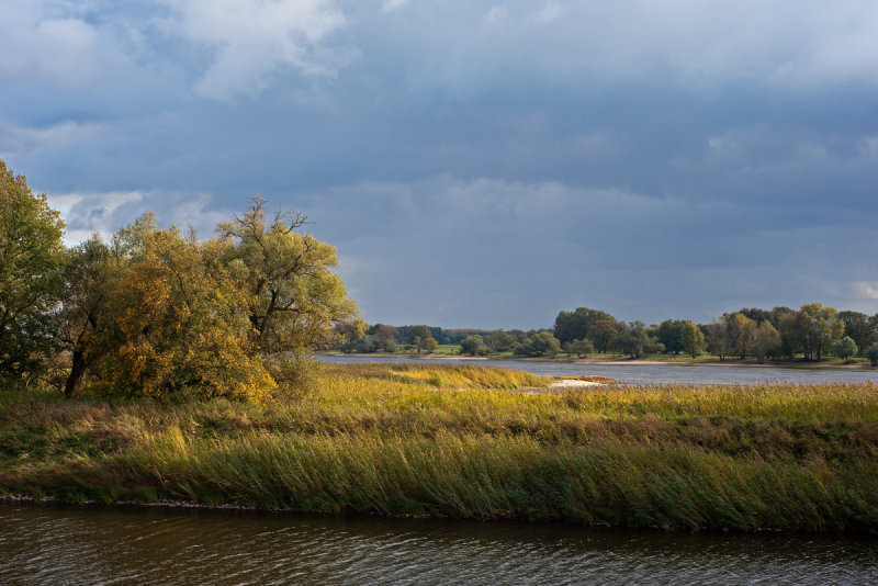 Elbe River Landscape, 2012