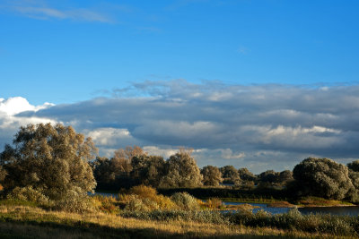 Elbe River Landscape, 2012