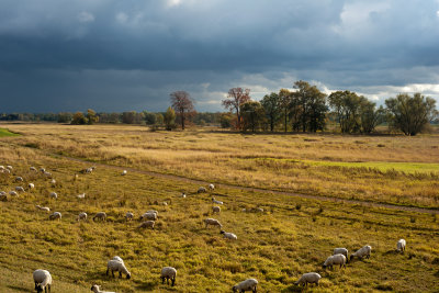 Elbe River Landscape, 2012