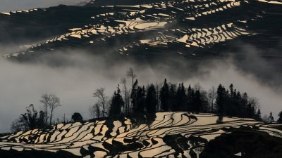 元陽梯田 Rice terraces in Yuanyang