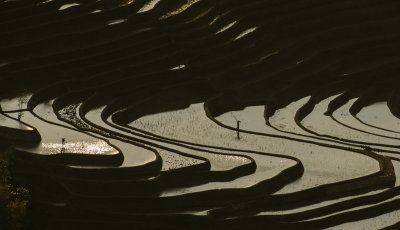 g2/98/670198/3/148973721.Q5iILl8a.jpg