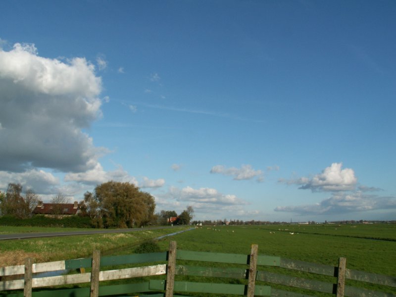 Rodenrijs, Polder Schieveen