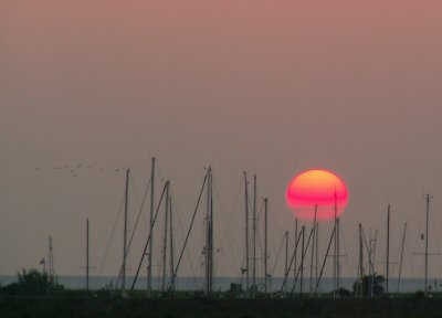 Hellevoetsluis