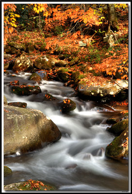 DSC_3501_2_3_tonemapped web.jpg