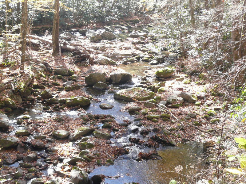 The creek is very low this year