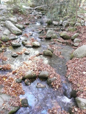 Our mountain stream